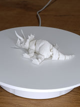 Dinozaur Triceratops