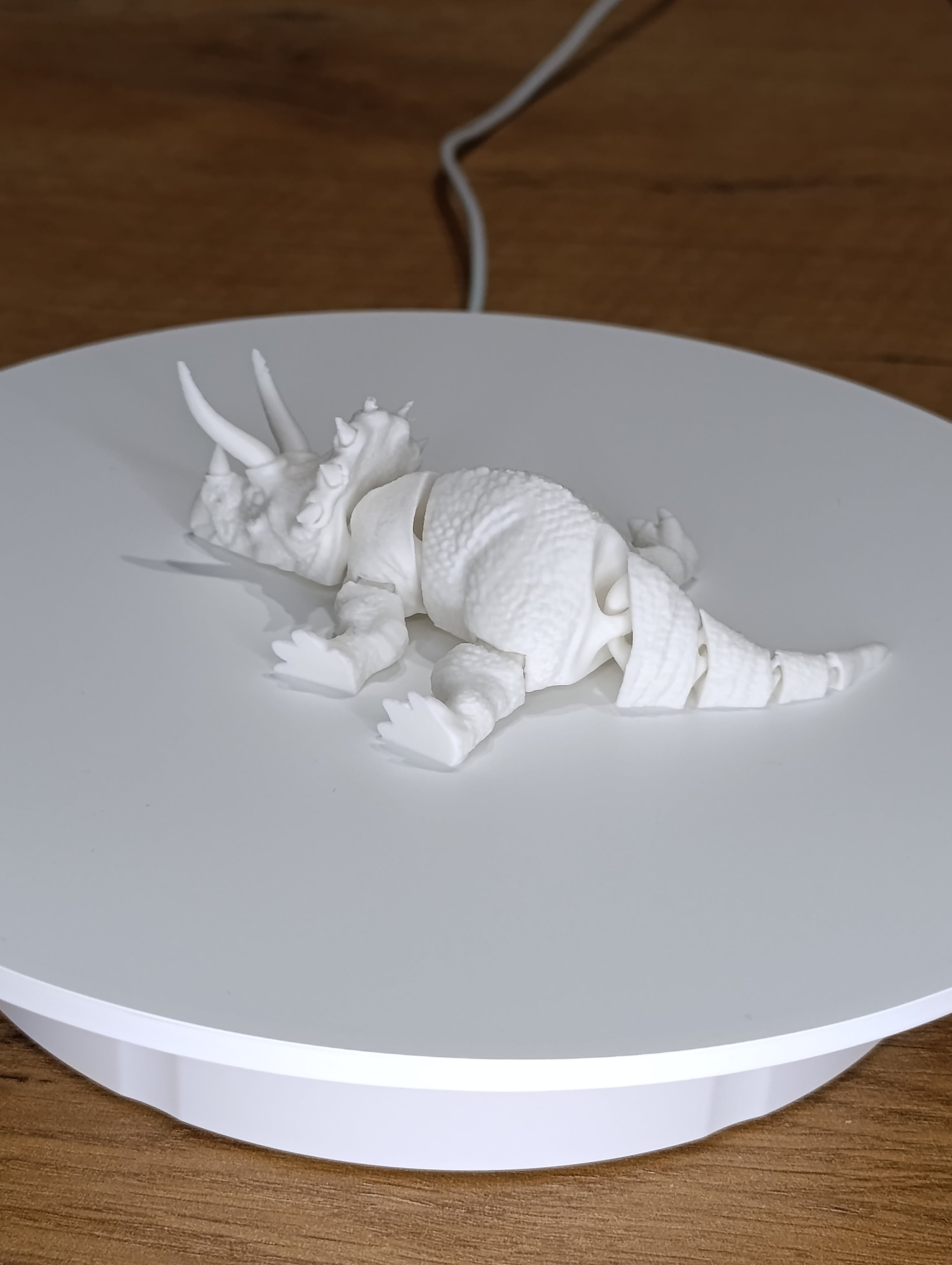 Dinozaur Triceratops