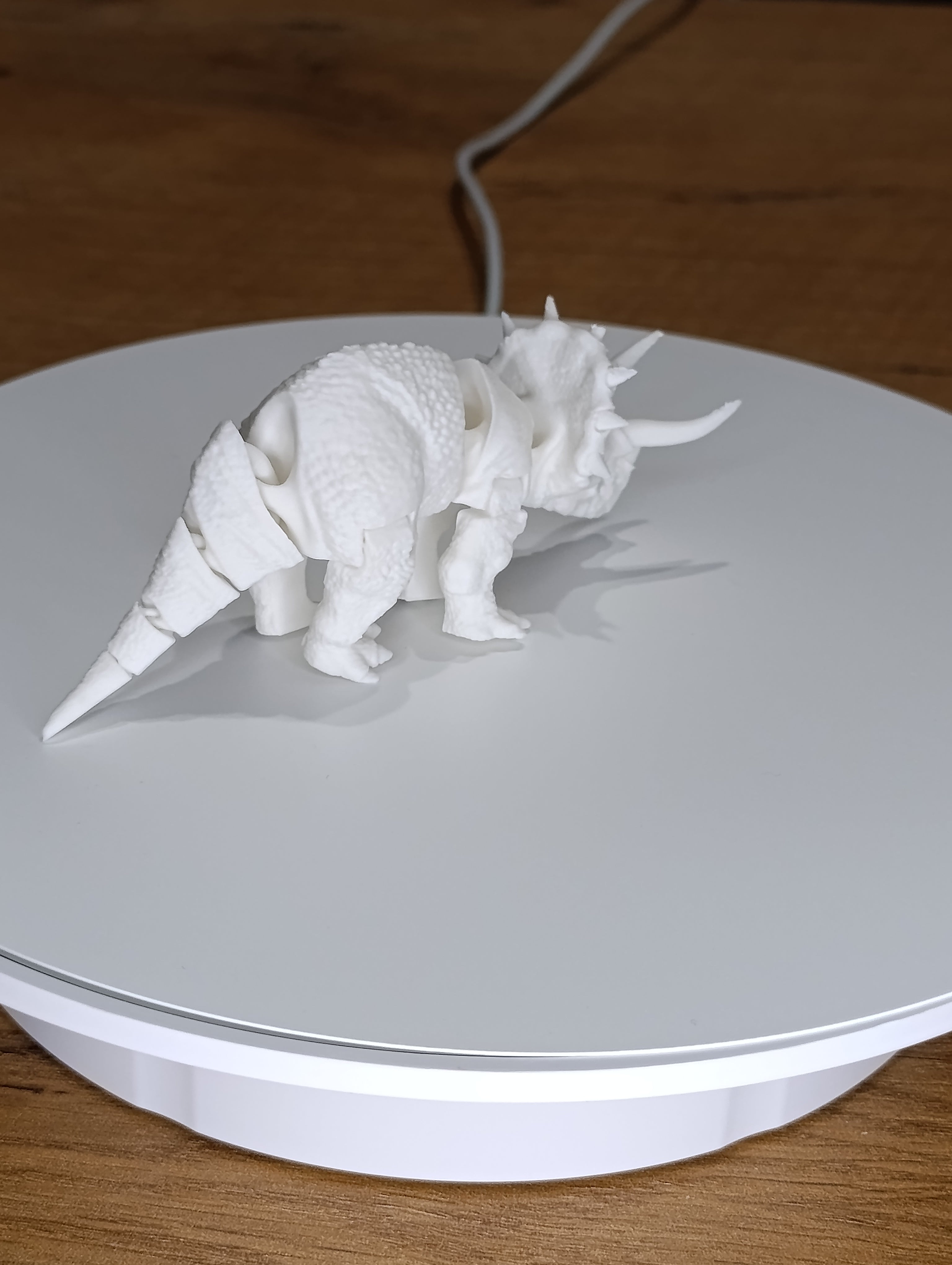 Dinozaur Triceratops