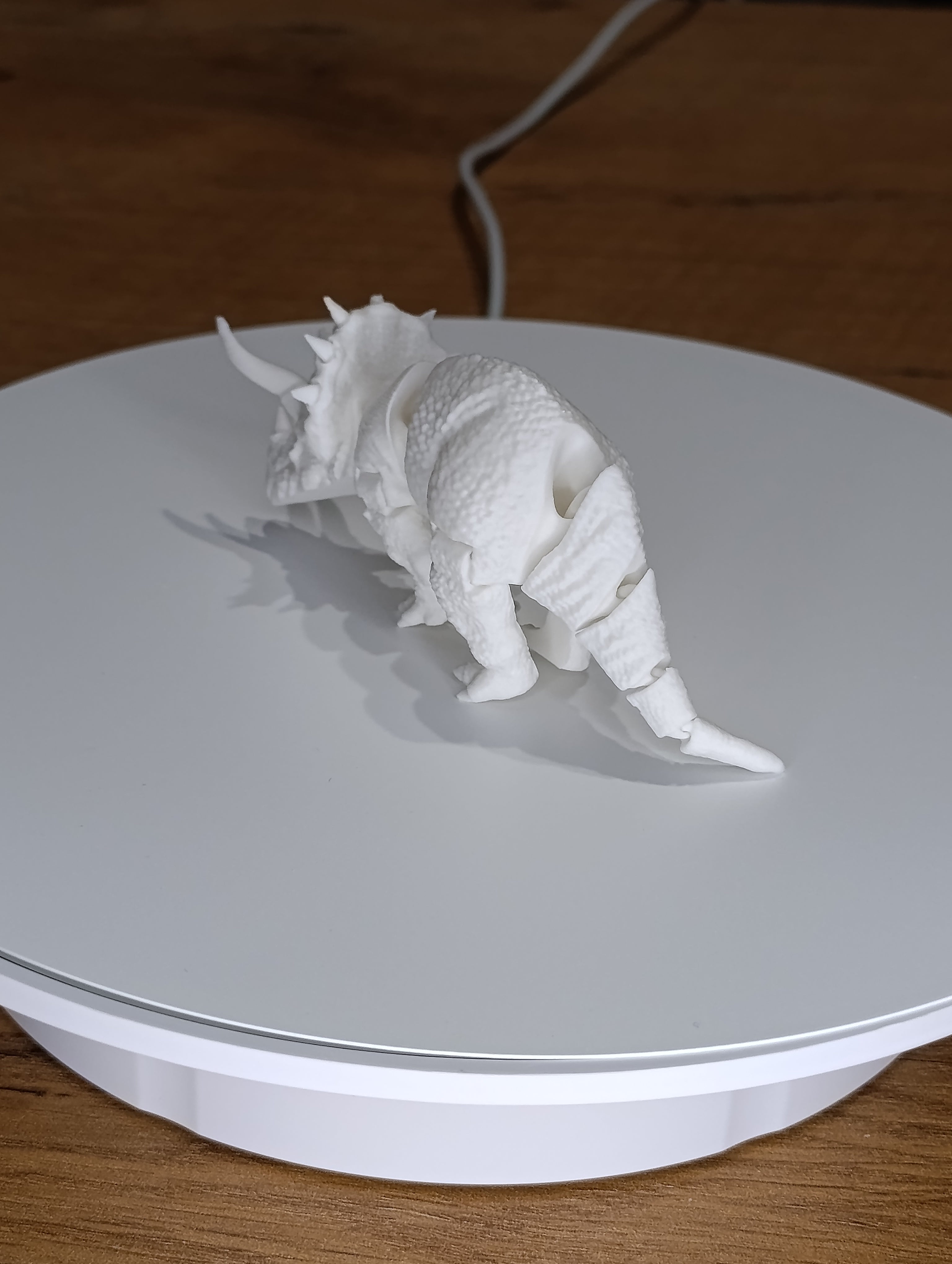 Dinozaur Triceratops