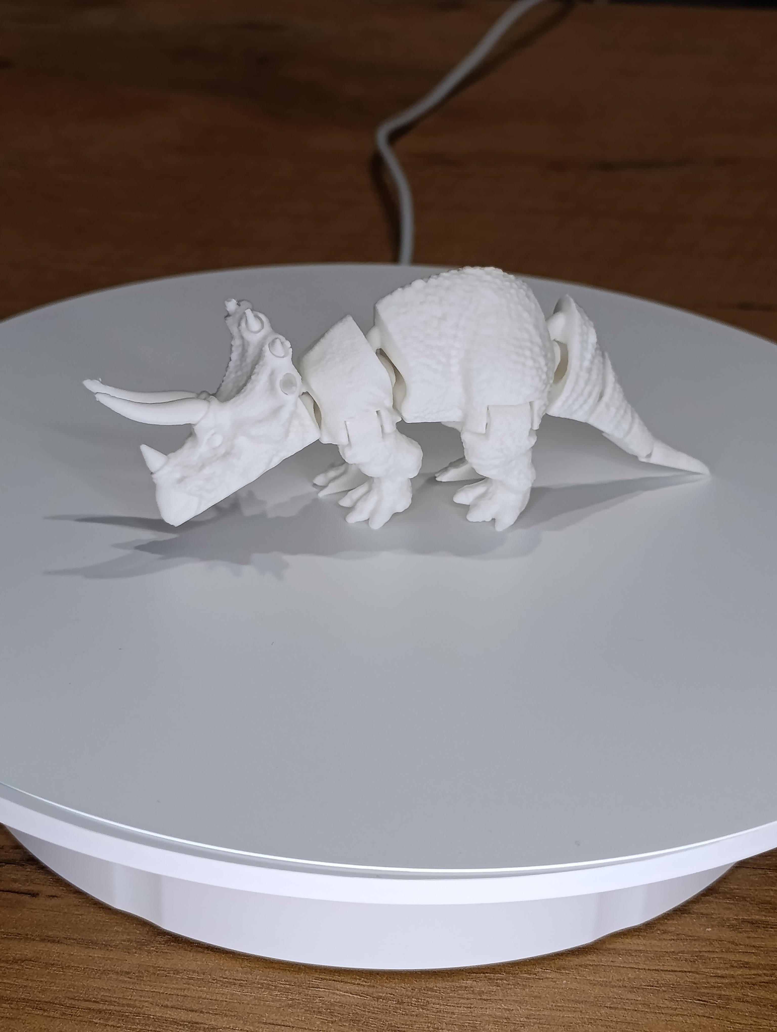 Dinozaur Triceratops