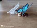 Motyl