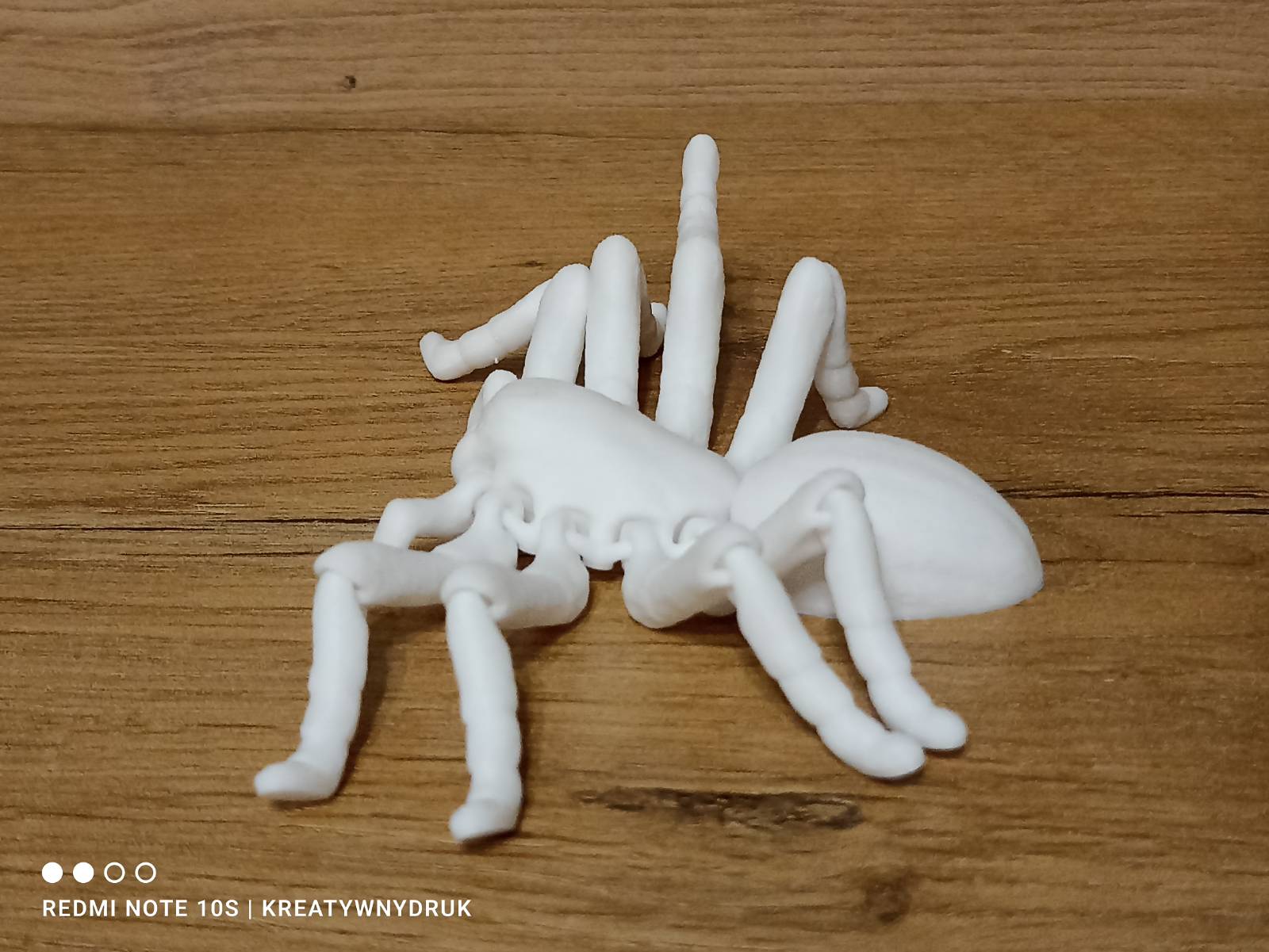 Tarantula