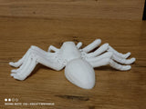 Tarantula