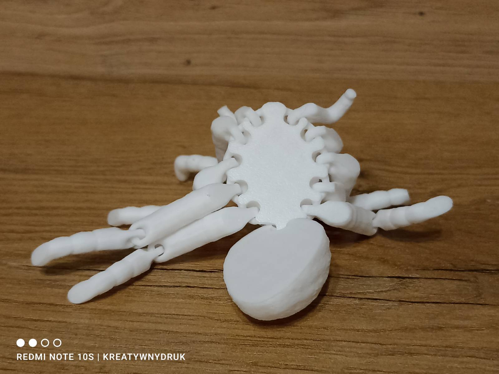 Tarantula