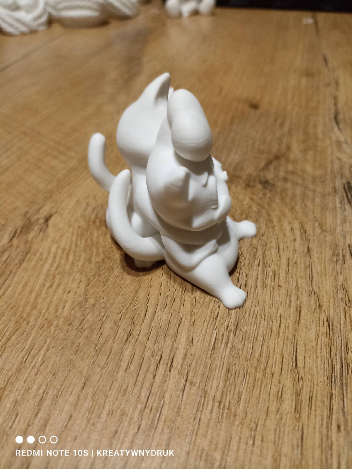 Zakochane koty