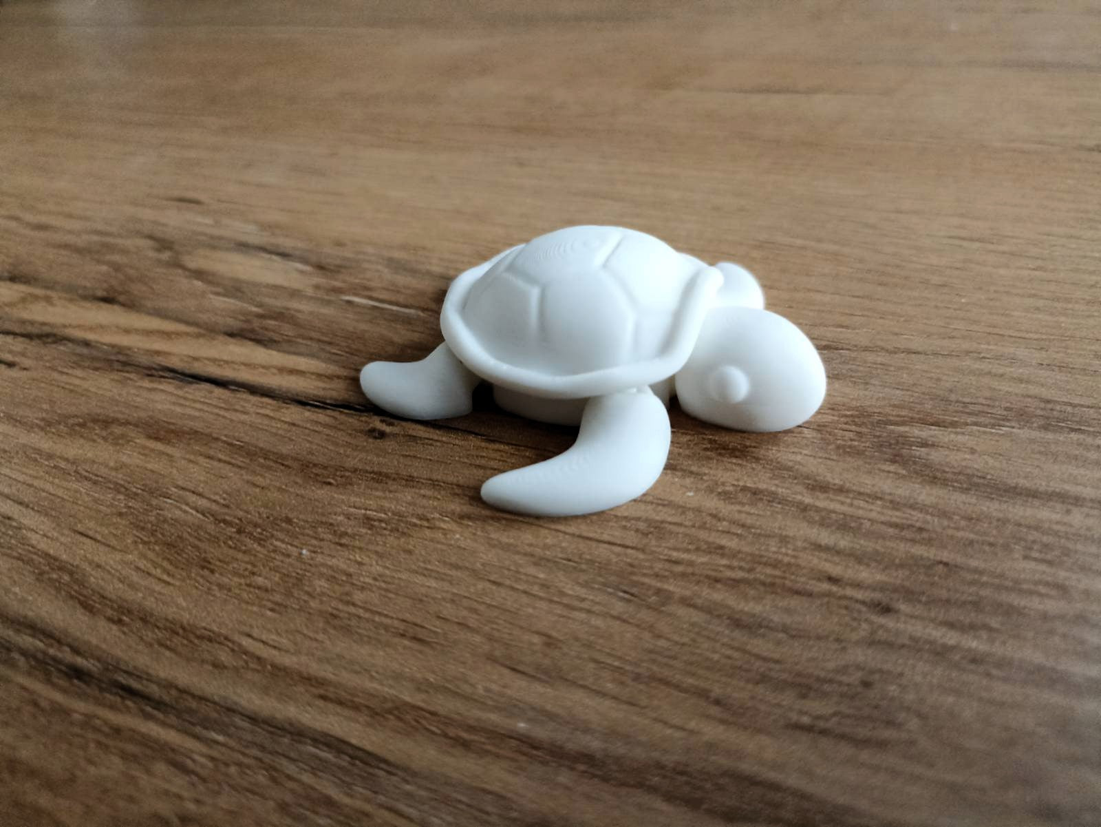 Mały żółw