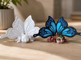 Motyl