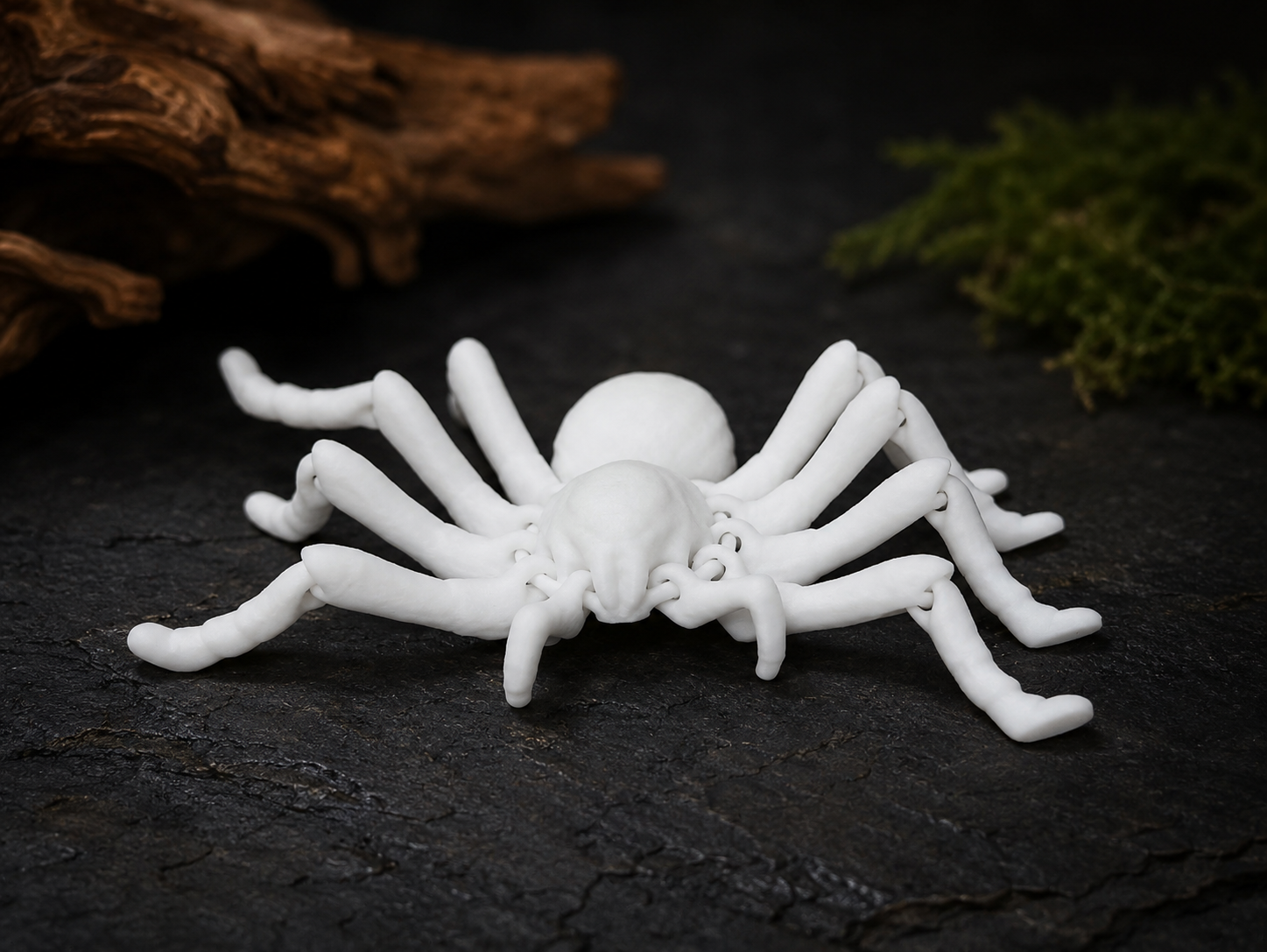 Tarantula