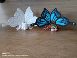 Motyl