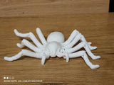Tarantula