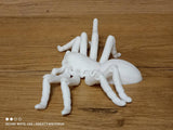 Tarantula